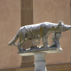 Sienese_She-Wolf_at_Siena_Duomo