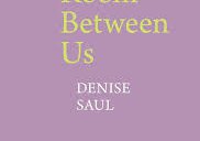 Denise Saul The Room Between Us