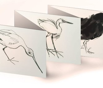 bird-cards